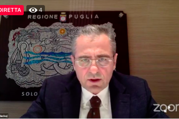 Ardian Hackaj - Cooperation and Development Institute (Lead Partner of Sagov Project)
