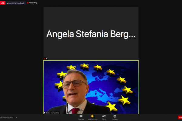 Giuseppe Ferrandino - Member of the European Parliament, Working group on Transport